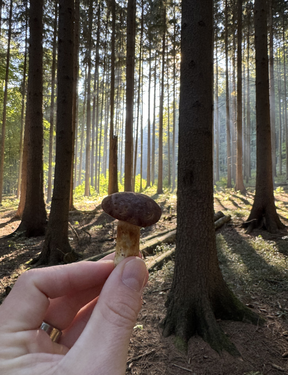 Náhledový obrázek článku Proč hned po probuzení nebrat telefon do ruky